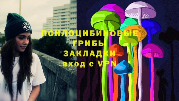 прущий лед Алексин