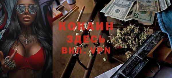 стафф Алзамай